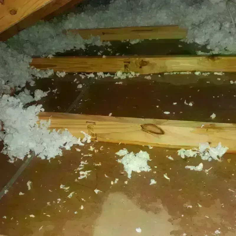 Attic Water Damage in Scott, LA