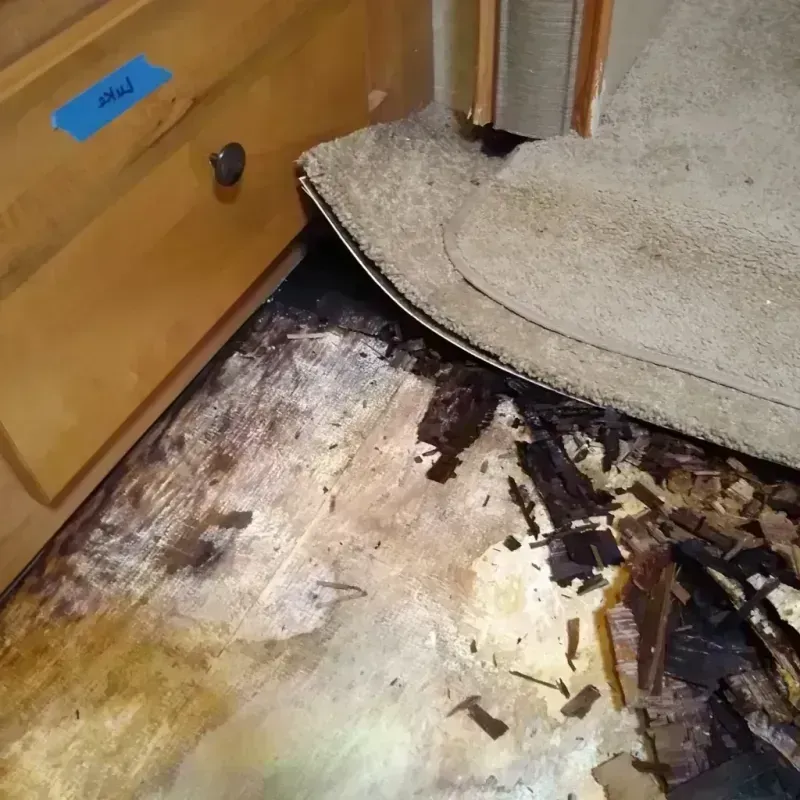 Wood Floor Water Damage in Scott, LA